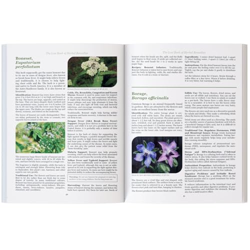The Lost Book of Herbal Remedies