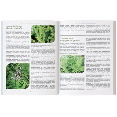 The Lost Book of Herbal Remedies