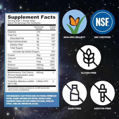 Vega Protein + Recovery, Berry – 30g Vegan Protein, Dairy & Gluten Free, Probiotics, NSF Certified, 28.8 oz (19 Servings)
