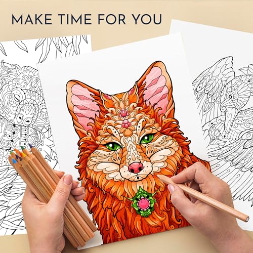 Animal Coloring Book for Men & Women with 31 Mindful Designs & Prompts